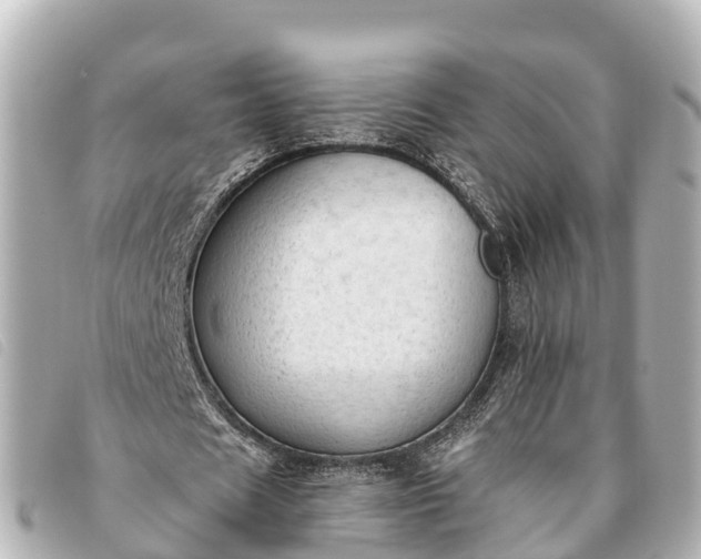 X0000093380625200710251217