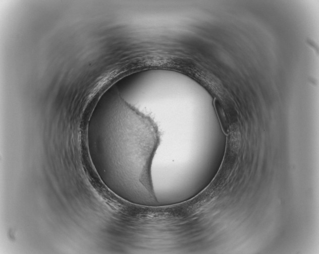 X0000093380626200710251217