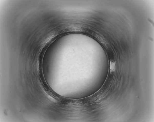 X0000093380627200710251217