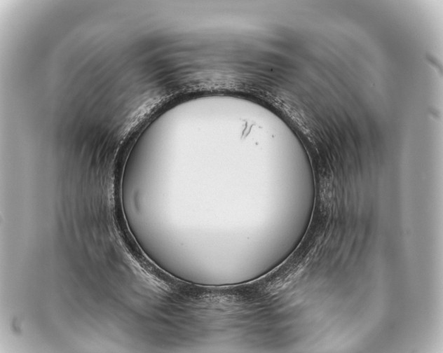 X0000093380629200710251217