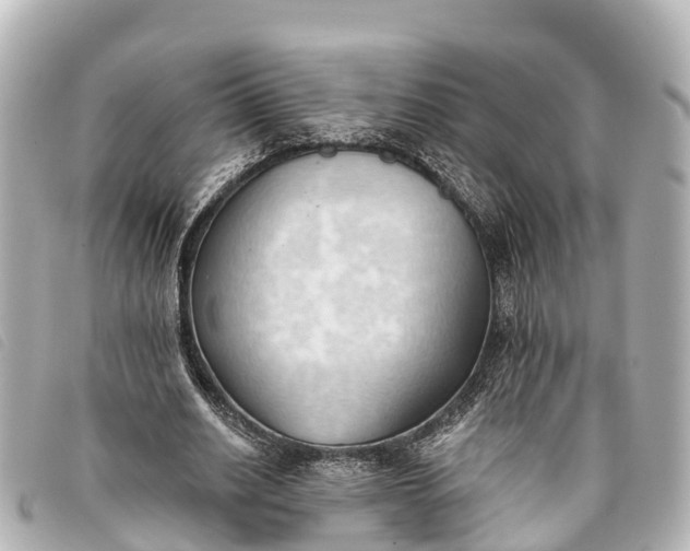 X0000093380630200710251217