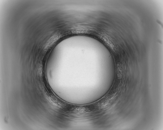 X0000093380631200710251217