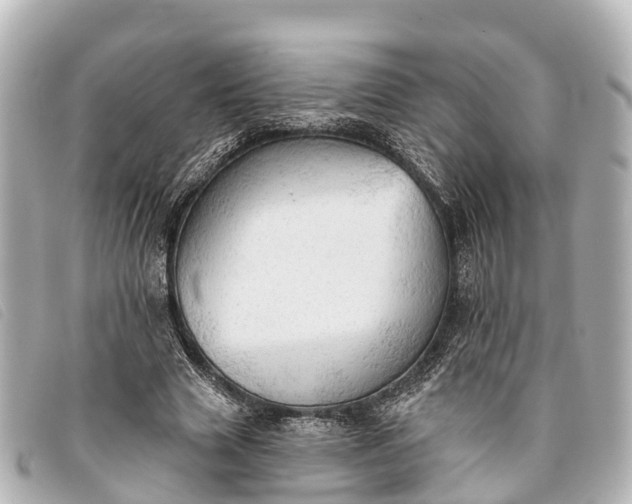 X0000093380633200710251218