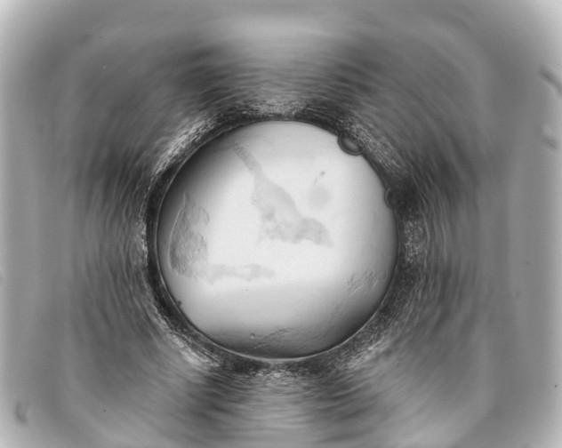 X0000093380634200710251218