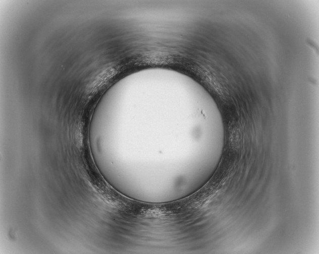 X0000093380635200710251218