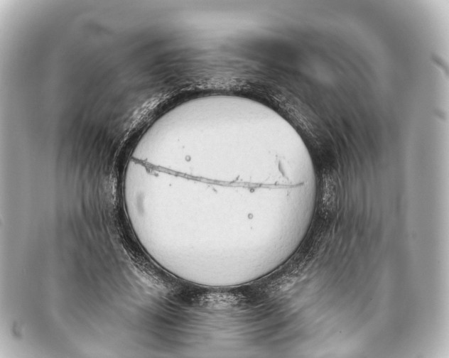 X0000093380636200710251218