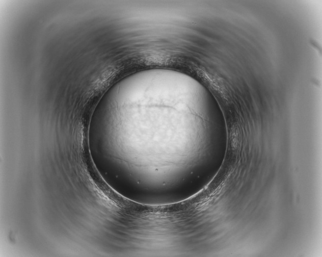 X0000093380637200710251218