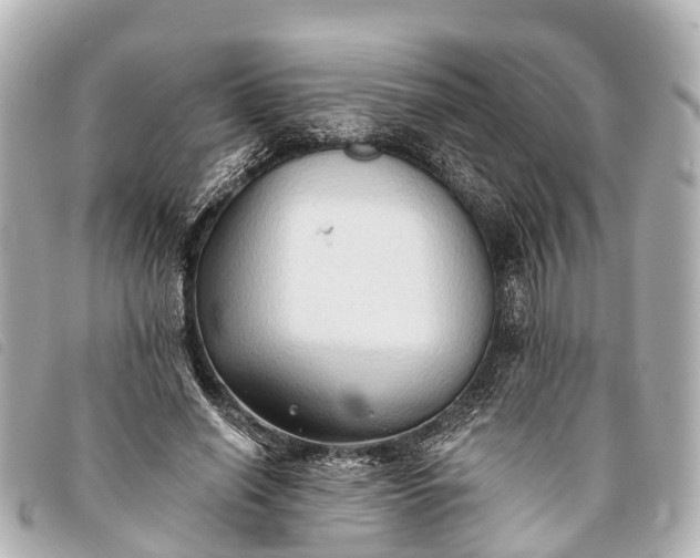 X0000093380638200710251218