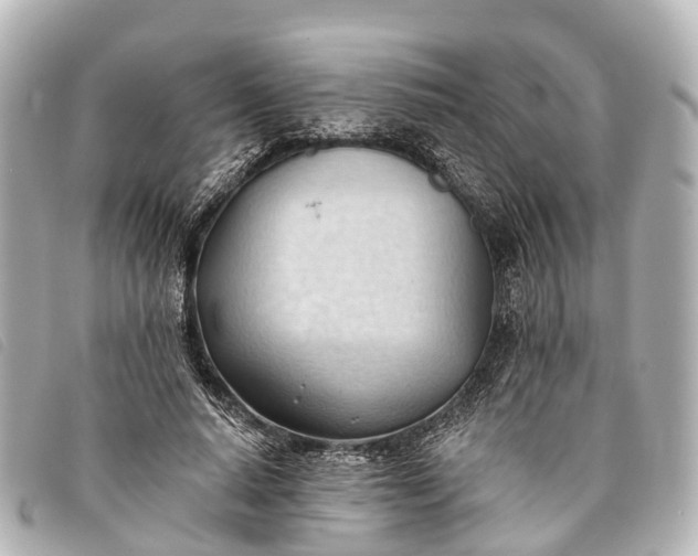 X0000093380640200710251218