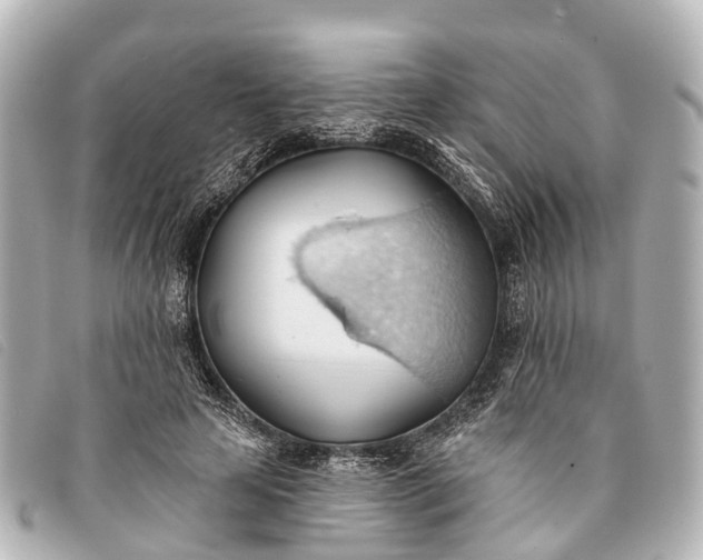 X0000093380641200710251218