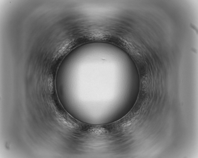 X0000093380642200710251218