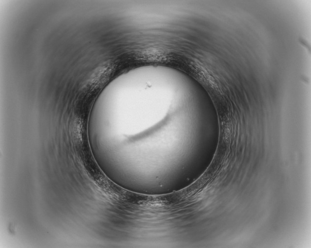 X0000093380643200710251218