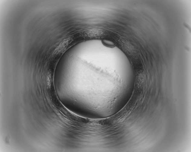 X0000093380644200710251218