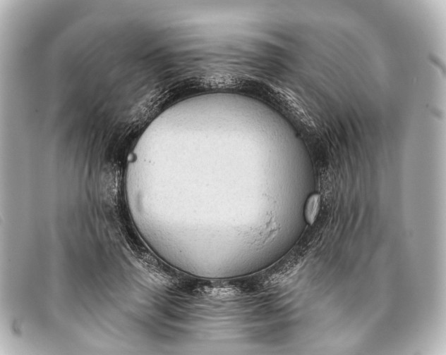 X0000093380645200710251218