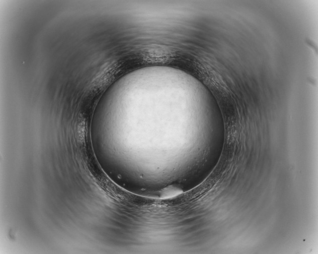 X0000093380647200710251218