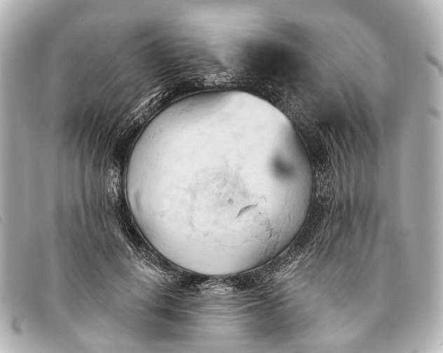 X0000093380648200710251218