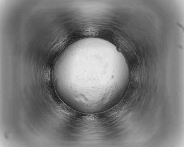 X0000093380652200710251218