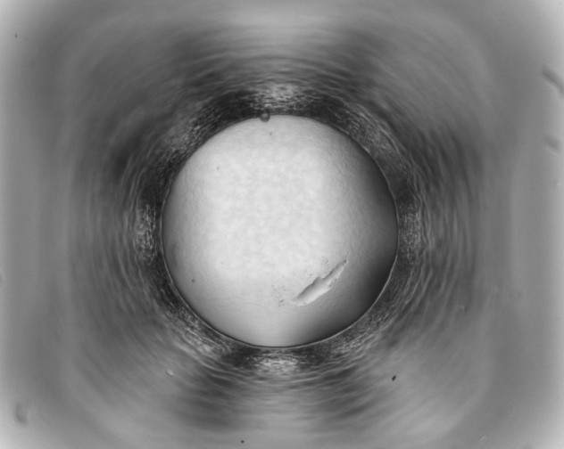 X0000093380653200710251218