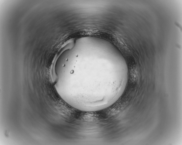 X0000093380657200710251218