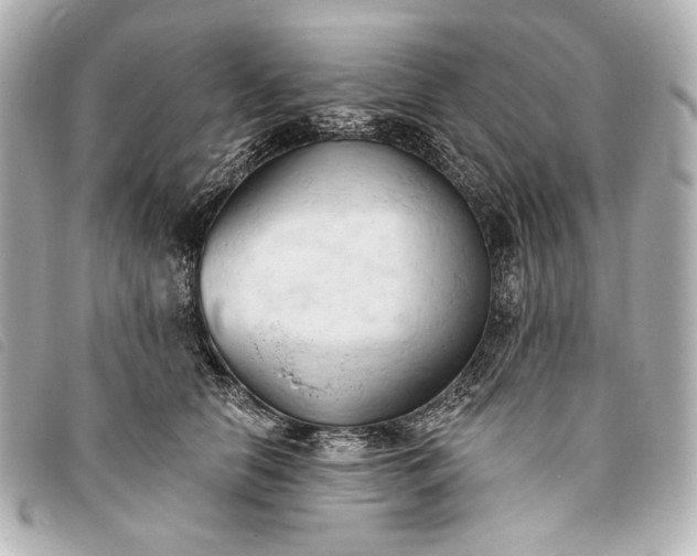 X0000093380658200710251218