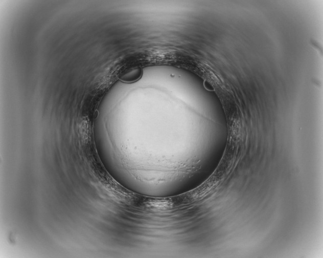 X0000093380659200710251218