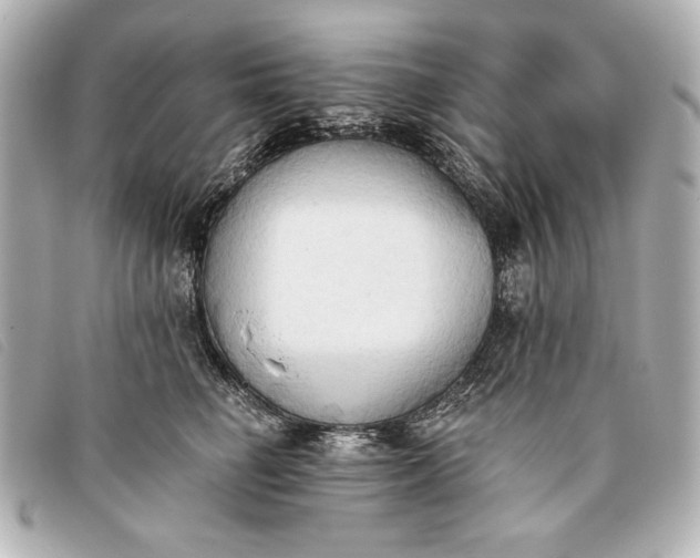 X0000093380662200710251218