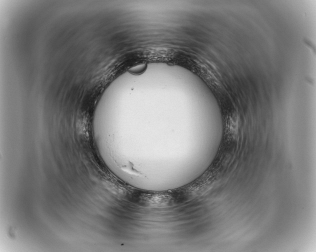 X0000093380663200710251218