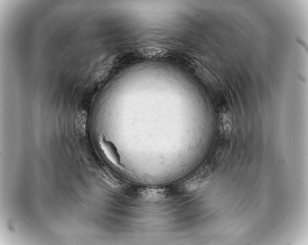 X0000093380664200710251218