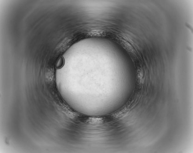 X0000093380665200710251218