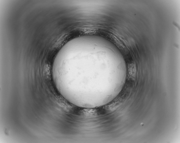 X0000093380667200710251218