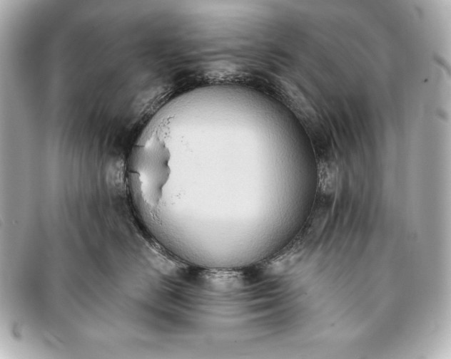 X0000093380670200710251218