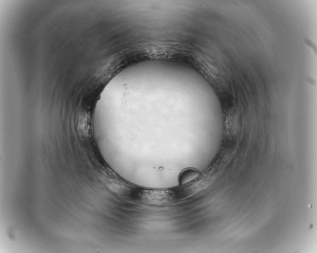 X0000093380671200710251218