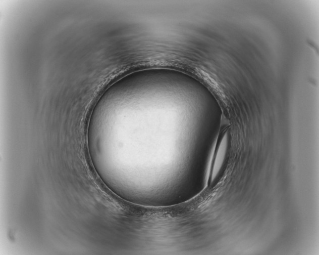 X0000093380673200710251217