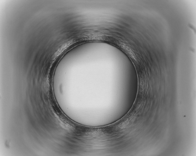 X0000093380674200710251217