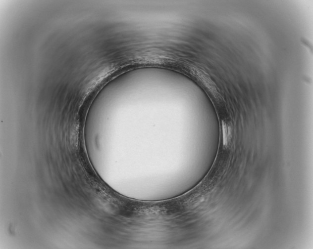 X0000093380675200710251217