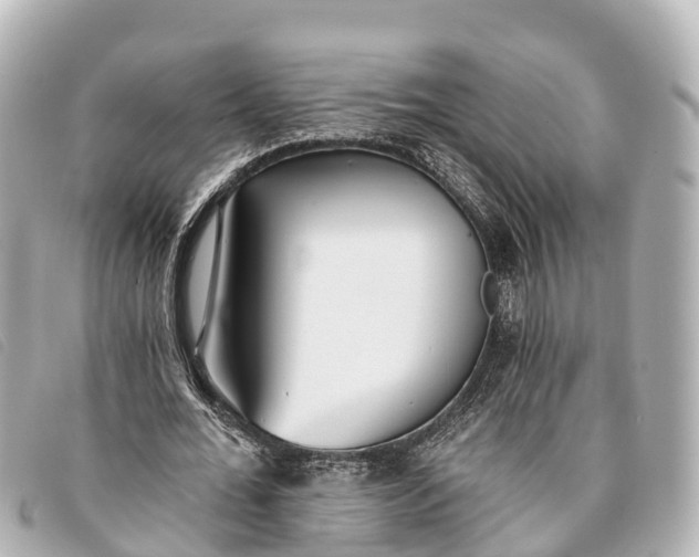 X0000093380676200710251217