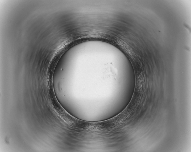 X0000093380680200710251217