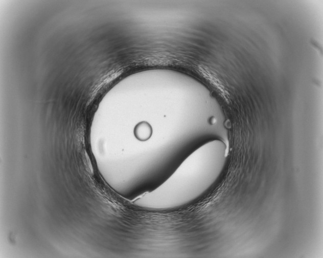 X0000093380681200710251217