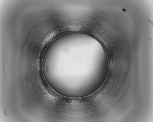 X0000093380682200710251217