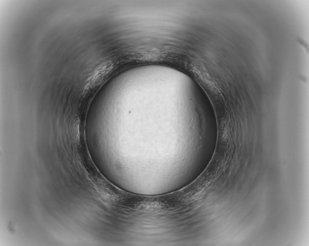 X0000093380685200710251217