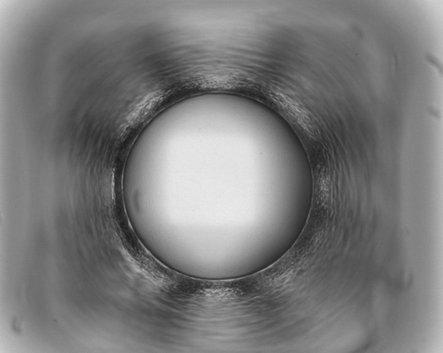 X0000093380686200710251217