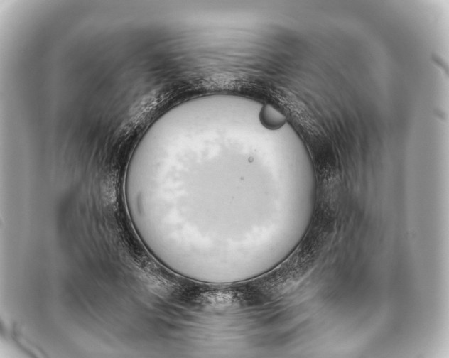 X0000093380687200710251217