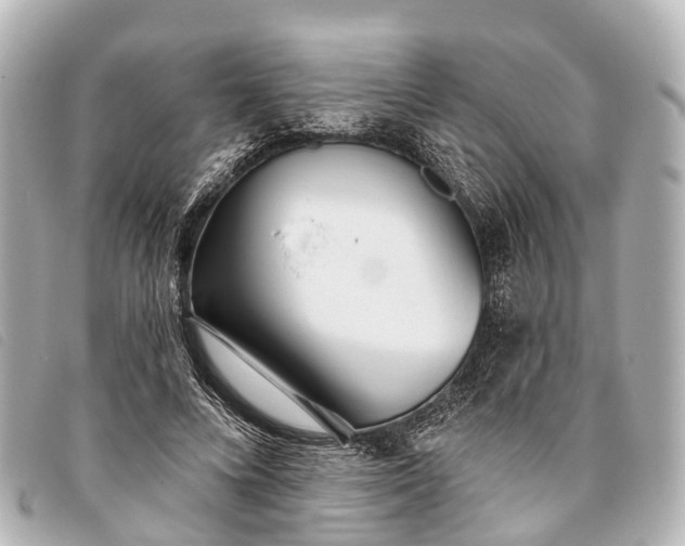 X0000093380688200710251217