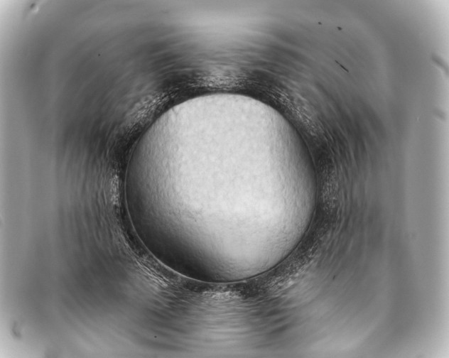 X0000093380689200710251217