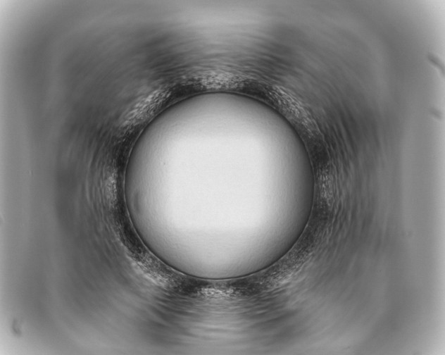 X0000093380690200710251217