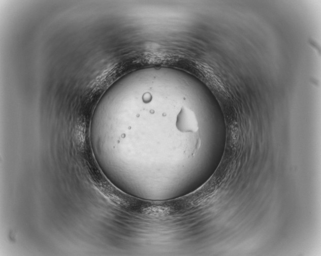 X0000093380691200710251217