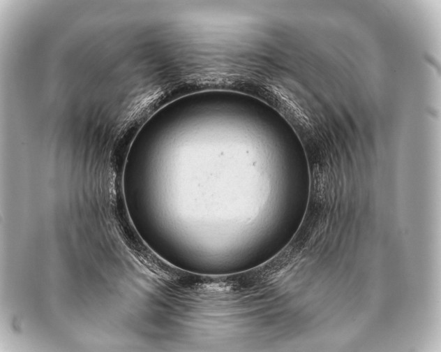 X0000093380692200710251217