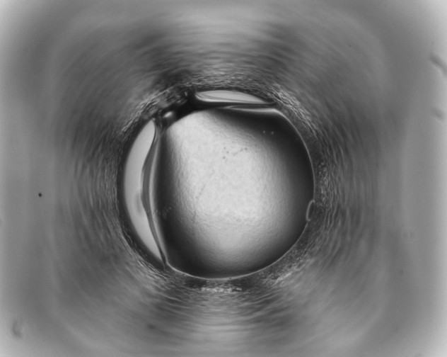 X0000093380693200710251217