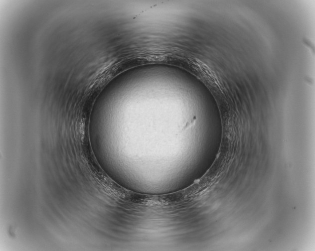 X0000093380697200710251217