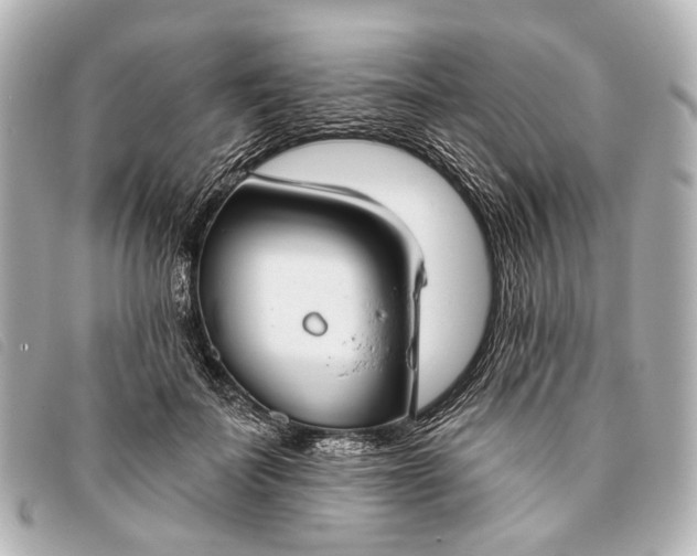 X0000093380699200710251217